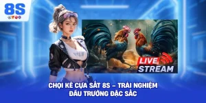 Chọi Kê Cựa Sắt 8S – Trải nghiệm đấu trường đặc sắc