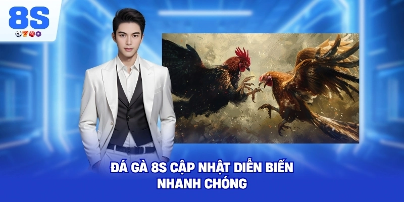 Đá Gà 8S cập nhật diễn biến nhanh chóng