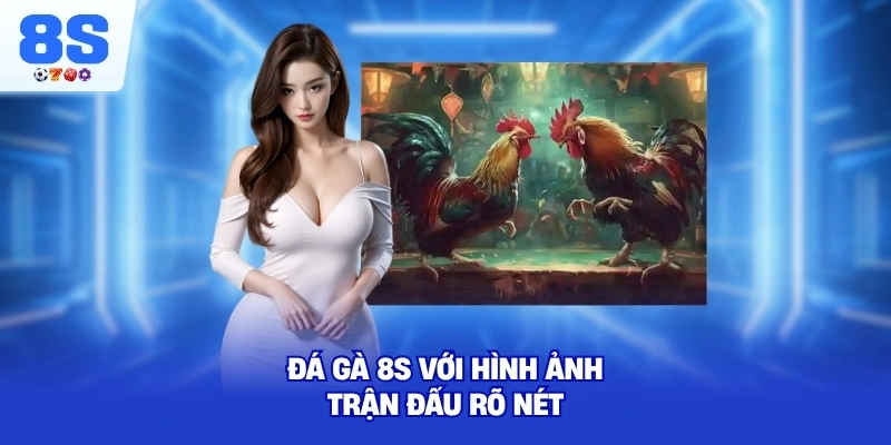 Đá Gà 8S với hình ảnh trận đấu rõ nét