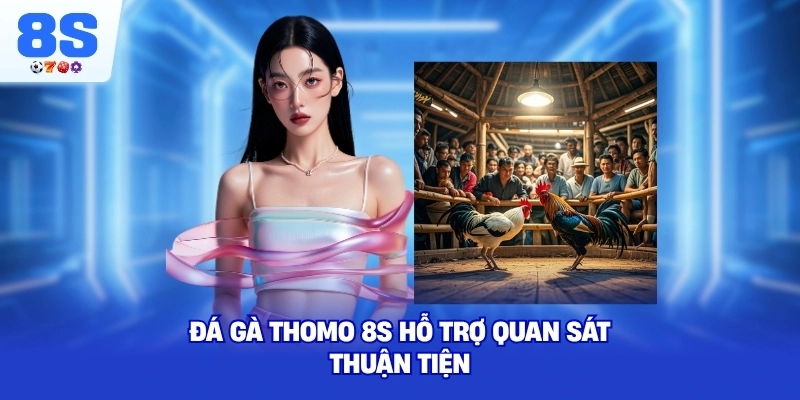 Đá Gà Thomo 8S hỗ trợ quan sát thuận tiện