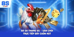 Đá Gà Thomo 8S – Sân chơi trực tiếp đầy cuốn hút