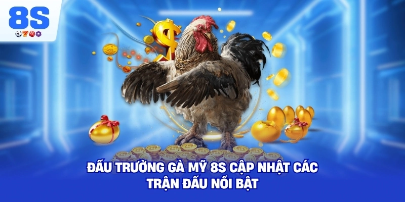 Đấu Trường Gà Mỹ 8S cập nhật các trận đấu nổi bật