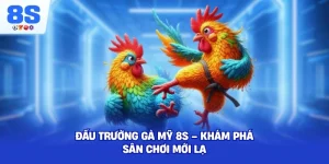 Đấu Trường Gà Mỹ 8S – Khám phá sân chơi mới lạ
