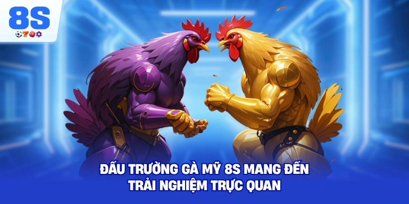 Đấu Trường Gà Mỹ 8S mang đến trải nghiệm trực quan